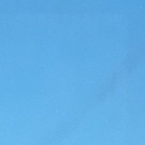 Meet your Posher, Gracie